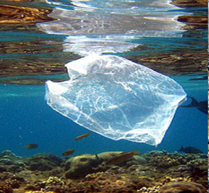 Biodegradation in other environments - Biodegradation in marine water